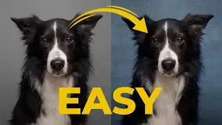 Hintergrund in Photoshop ganz einfach tauschen!