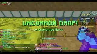 First Milestone 46 Player on Garden Hypixel Skyblock