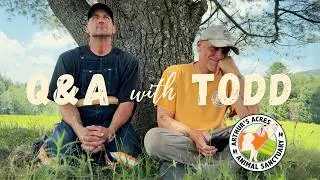 Q&A with Todd from Arthur's Acres