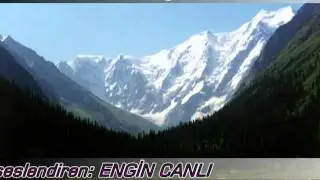 ENGİN CANLI DOSTLARIM  ŞİİR