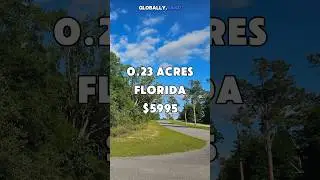 0.23 acres in Florida for $5,995 #foryou #florida #realestate #shorts #land #property #fyp #usa