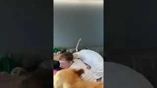 tik tok genzie/fanpage genZie