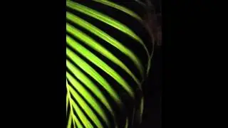 Scary clown ghost (part 2)