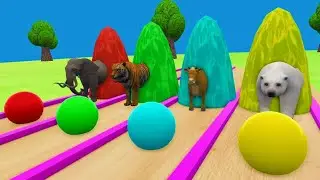 Elephant Tiger Cow Bear | Fountain Crossing Animal Transformation | fountain cartoon