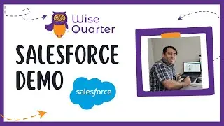 Salesforce DEMO | Wise Quarter