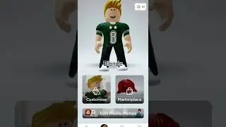 Which one is your favourite Roblox avatar? 