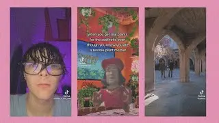 My favorite TikTok’s pt.?