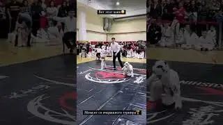 Маленький Воин Тигр 🐯