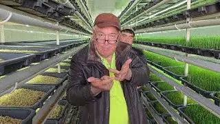 +992972945050 Дилшод. навори нав оиди гидропоника.