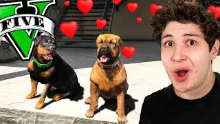 CHOP CONSIGUE NOVIA en GTA 5! 🐶💕 (Mods)