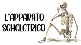💀 THE SKELETAL SYSTEM (Skeleton) 🦴 Bones, Joints, Ligaments and Cartilage (The Human Body)