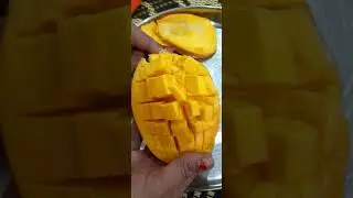 testy mingo juice 
