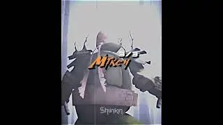 Raph vs Mikey