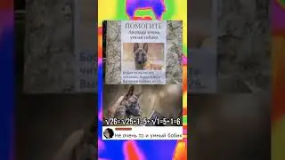 #memes