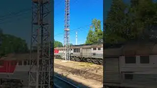 2тэ116у 257 #краснодар #поезда #ржд #подпишисьпж #top #publictransport #railway #поезд #railtravel