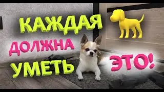 САМАЯ ПРЕДАННАЯ СОБАКА В МИРЕ!!!