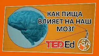 🔶 Как пища влияет на наш мозг? [TED-Ed на русском]