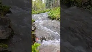 Расслабься, просто послушай 