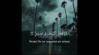 #quran