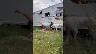 Life in a caravan 