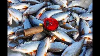 ЭТА МОРМЫШКА КОСИТ КРУПНУЮ ПЛОТВУ Эффектные поклевки на камеру Подводные съемки