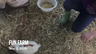 FUN FARM 2020
