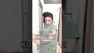 После карпоротива... #shorts #TikTok