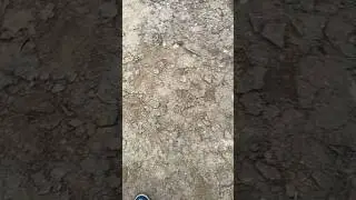 Can you record a video for me real quick?