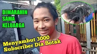 Spesial! Botak Di 3000 Subscriber, auto nyesel