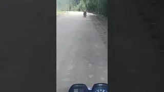 Батя учит сына ездить на ИЖе