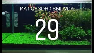 Интерактивный аквариумный туризм Сезон 4 Выпуск 29 - Почти скейп современных трендов