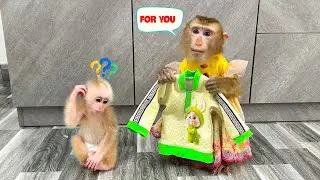 So emotional! Monkey Kaka gave a shirt to baby monkey Mit