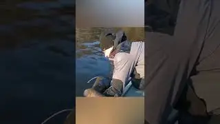 мужики сошли с ума 😁😁😁