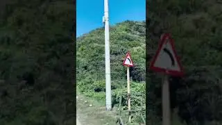 Having a Nice Trip and Good Music