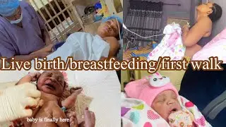 Baby is finally here live C SESSION / Breast feeding and first walk