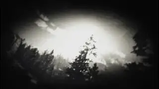 Red Dead Redemption прохождение