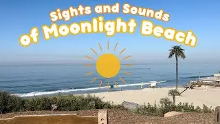 Sights and Sounds of Moonlight Beach (Ocean ambiance)