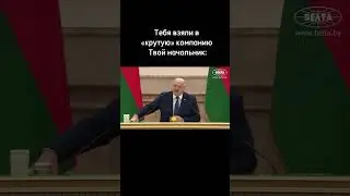 #hr #карьера #работа #лукашенко
