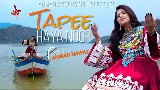 Pashto New Tappy  | Haya Noor | Pashto New song  Haya Noor | Official Music Video Tapay | 2024
