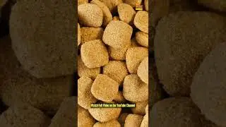 Pet Food Business 🐾 : What You Need to Know #shorts #makemoneyfromhome  #petbusiness #petfoods