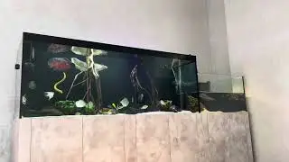 My Aquarium and Aqua Terrarium