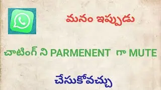 Whatsapp New Feature is Coming / Whatsapp New Feature