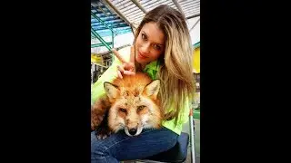 Petting foxes at Zao Fox Village ( Kitsune Mura ) in Japan