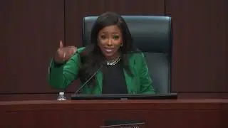 Jasmine Crockett Speaks at Epstein Survivor Hearing