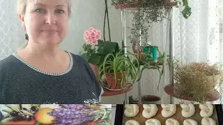 10 марта/ Тесто на ШАНЬГИ и БУЛОЧКИ/ в магазин/чем подкормила ПЕЛАРГОНИИ