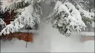Relaxation from snow removal in the yard. High stream of snow. 