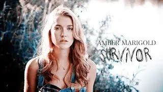 Amber Marigold | Survivor