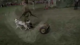 Социальный видеоролик "Лохматый батальон"
