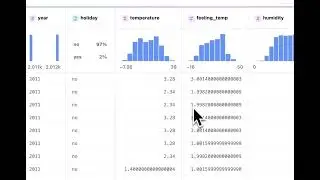 pygwalker for data profiling