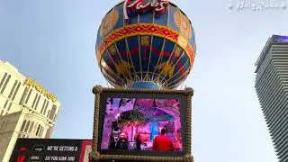 Viva Las Vegas May 2022  (By Elvis Presley)
